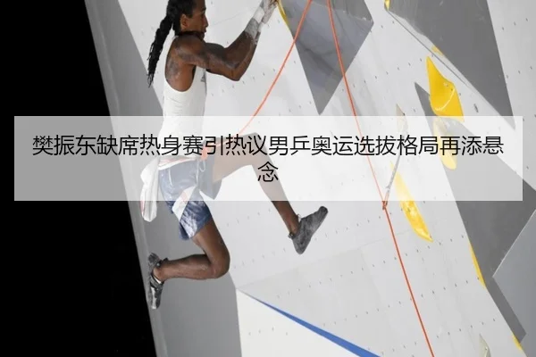 樊振东缺席热身赛引热议男乒奥运选拔格局再添悬念